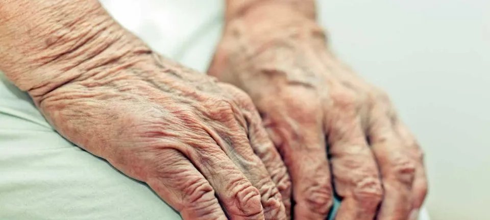 Justiça reconhece herança para idosa que serviu família desde os 4 anos - Imagem do artigo original