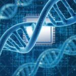 União Europeia multa X em €120 milhões por descumprir regras de conteúdo digital