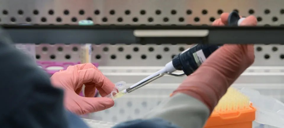 Brasil elimina transmissão do HIV de mãe para bebê e reduz mortes no país - Imagem do artigo original