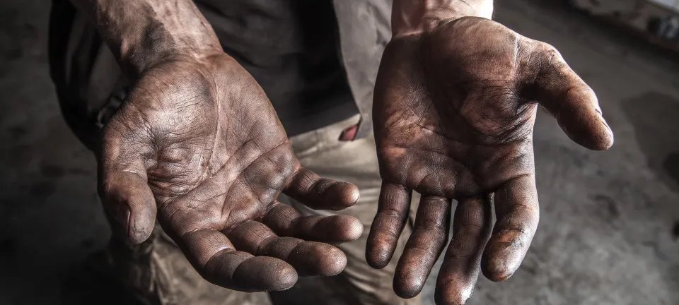Operação resgata 12 trabalhadores de laranjal em condições análogas à escravidão em SP - Imagem do artigo original