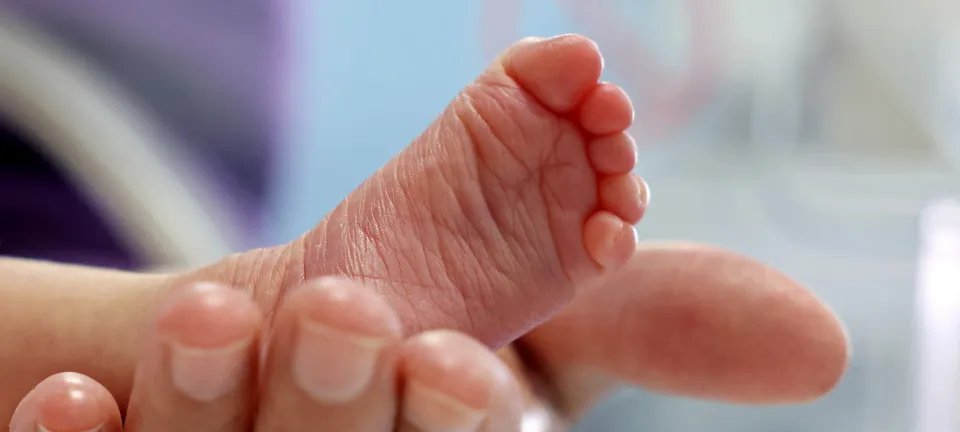 Bebê de 3 meses passa por cirurgia não autorizada e caso vira investigação em São Paulo - Imagem do artigo original