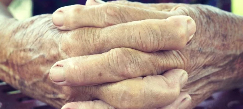 Operação resgata idoso de 81 anos submetido a trabalho degradante na Bahia - Imagem do artigo original