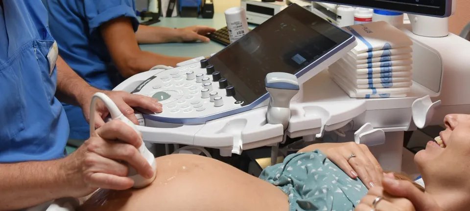 Brasil registra maior queda de nascimentos em três décadas, aponta IBGE - Imagem do artigo original