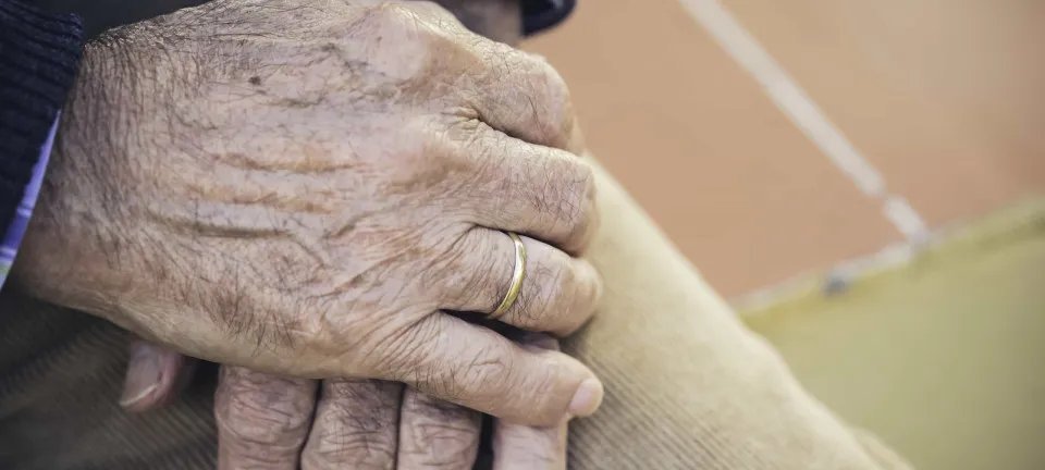 Quase 307 mil idosos no Brasil declaram viver com autismo, revela análise do Censo 2022 - Imagem do artigo original