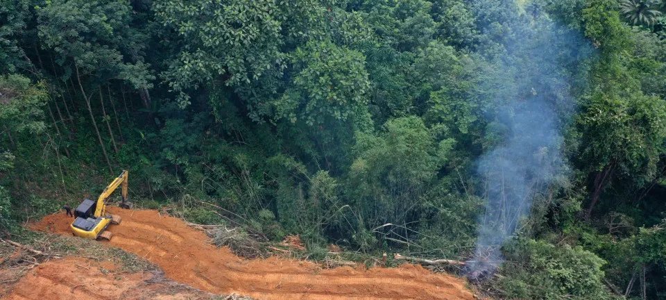 Desmatamento na Amazônia e no Cerrado recua 9% em 2025, aponta Inpe - Imagem do artigo original