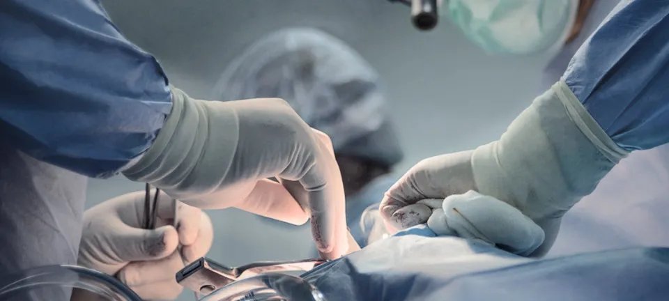 Gêmeos siameses não resistem após cirurgia de separação de emergência em Goiânia - Imagem do artigo original