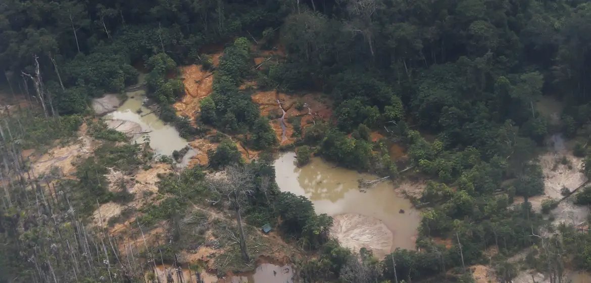 Edital prorroga prazo e libera R$ 8,8 milhões para recuperar terras indígenas - Imagem do artigo original