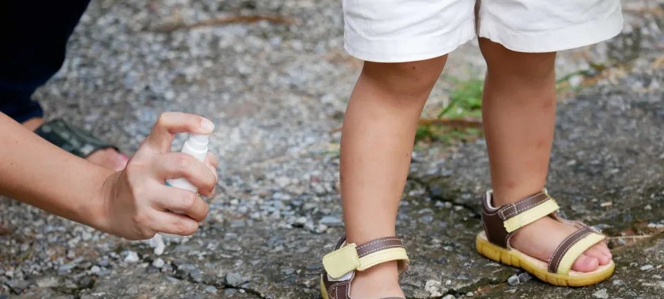 Repelentes de insetos mostram variação de preço de até 110%, aponta Procon-SP - Imagem do artigo original