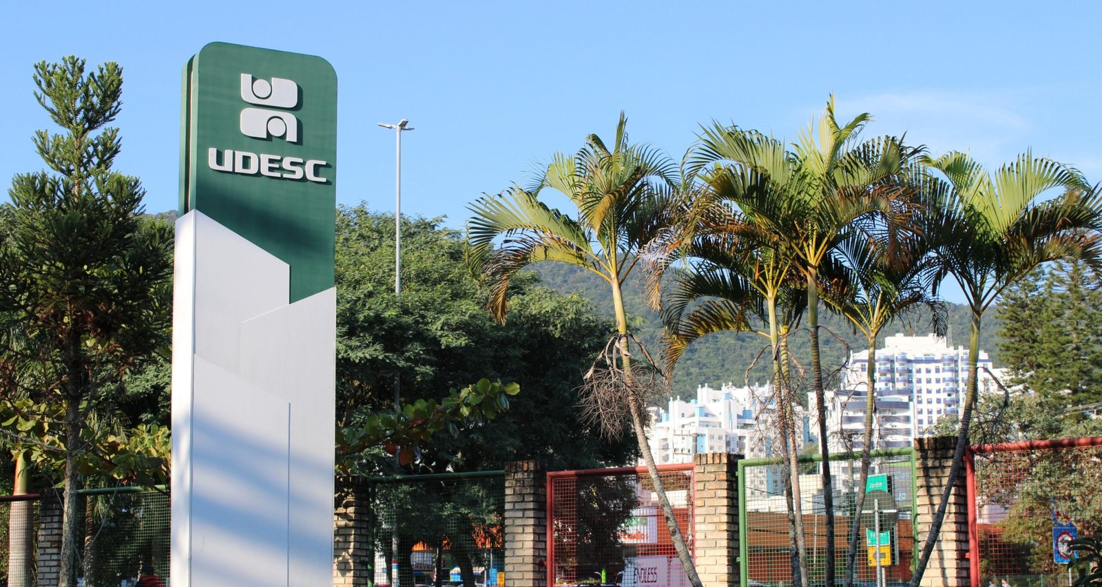 Justiça de SC suspende lei que veta cotas raciais e STF cobra explicações ao governo - Imagem do artigo original