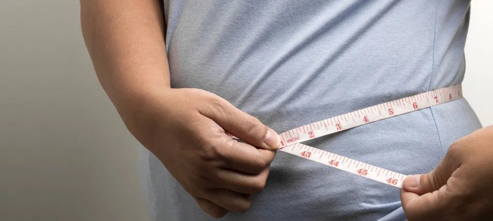 Brasil atinge 62,6 % de adultos acima do peso e dobra taxa de obesidade - Imagem do artigo original