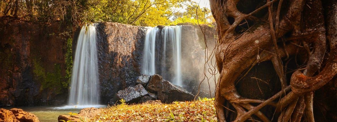 Sítios da Unesco travam declínio de 73% na vida selvagem global - Imagem do artigo original